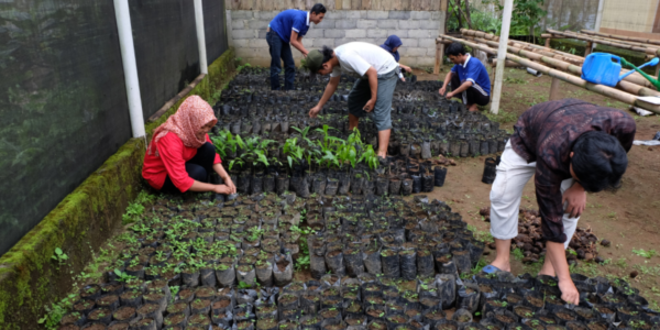 bumdes milyader foto (1)