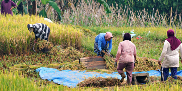 gambar bumdes milyader (1)